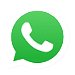 WhatsApp Icon